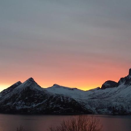 Senja, Husoy I Senja. Leilighet Med Utsikt Over Fjord Og Fjell Tofta Exteriér fotografie