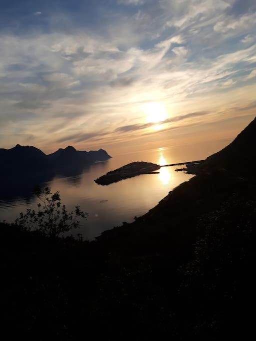 Senja, Husoy I Senja. Leilighet Med Utsikt Over Fjord Og Fjell Tofta Exteriér fotografie