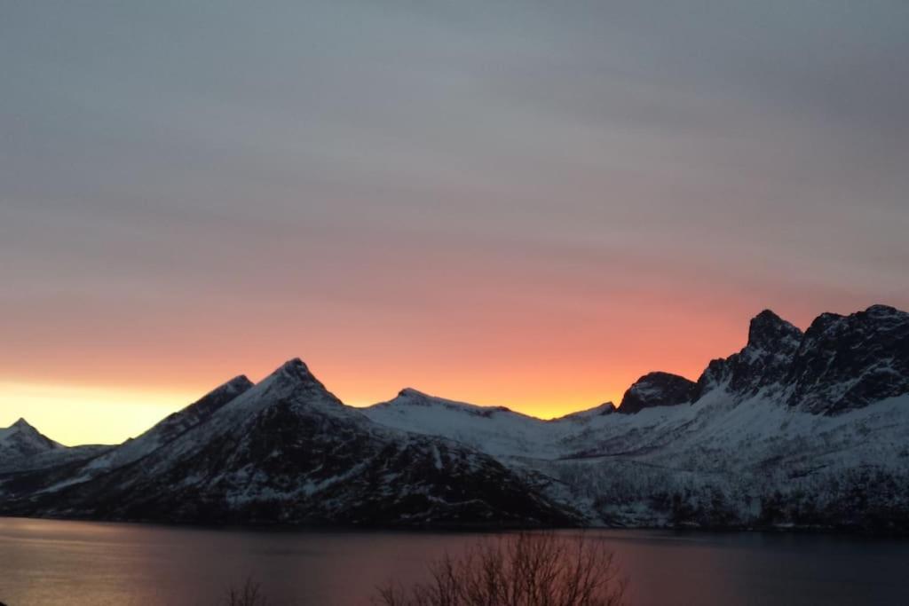Senja, Husoy I Senja. Leilighet Med Utsikt Over Fjord Og Fjell Tofta Exteriér fotografie