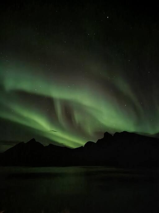 Senja, Husoy I Senja. Leilighet Med Utsikt Over Fjord Og Fjell Tofta Exteriér fotografie